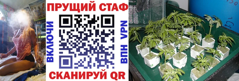 A PVP Черкесск
