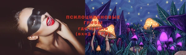 mix Козловка