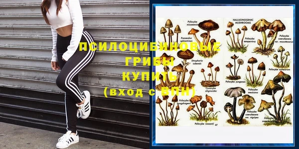 мяу мяу мука Киренск