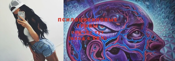 амф Киреевск