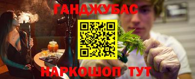 гидра Кингисепп