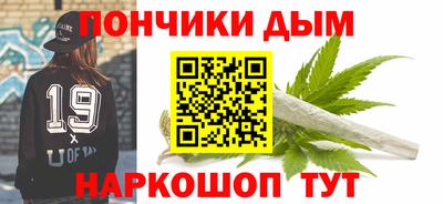 гидра Кингисепп