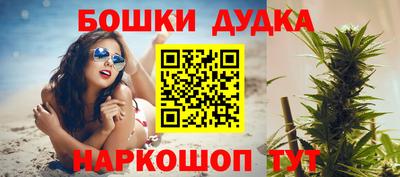 гидра Кингисепп