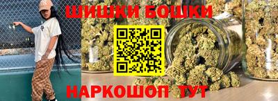 гидра Кингисепп