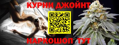 гидра Кингисепп