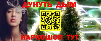гидра Кингисепп