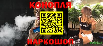 гидра Кингисепп