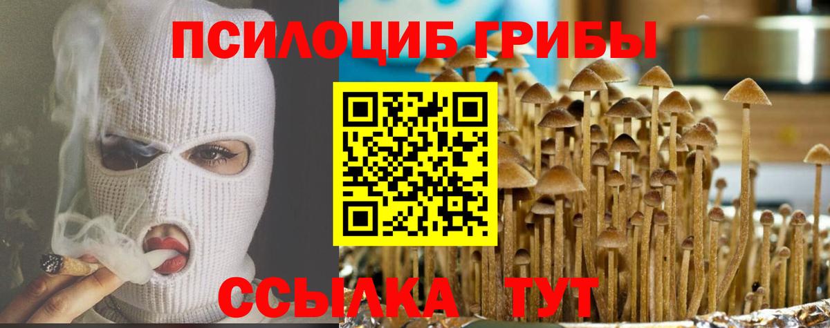 Черкесск  Галлюциногенные грибы Psilocybine cubensis  Вход с VPN  Галлюциногенные грибы мицелий 