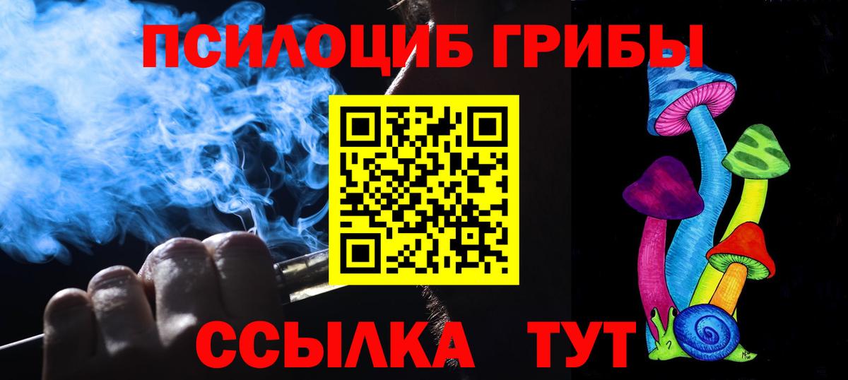 Галлюциногенные грибы Cubensis Черкесск