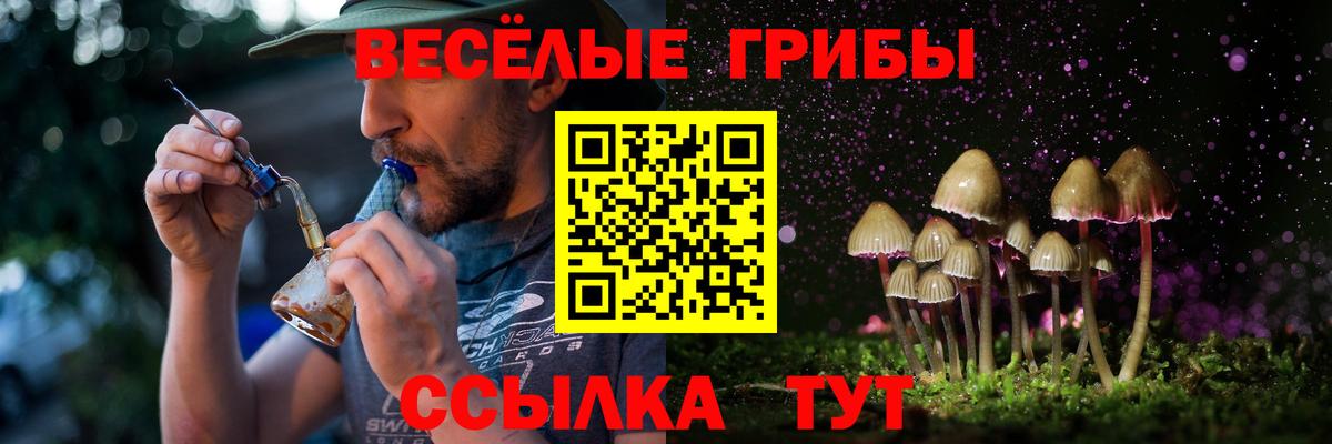Галлюциногенные грибы мицелий  Черкесск  Псилоцибиновые грибы MAGIC MUSHROOMS 